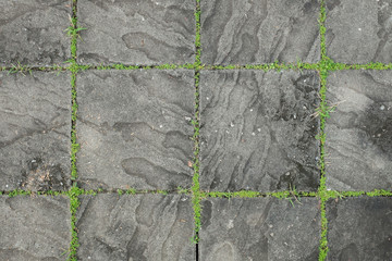 Exposed concrete block floor with grass.