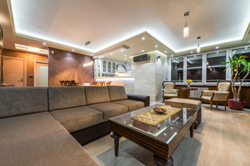 contemporary living room interior