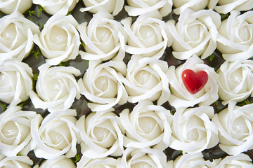 roses