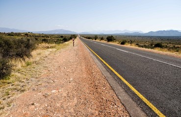 Route 62 in the Karoo
