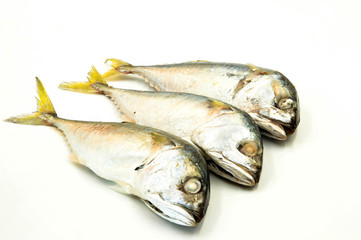 Three Mackerel