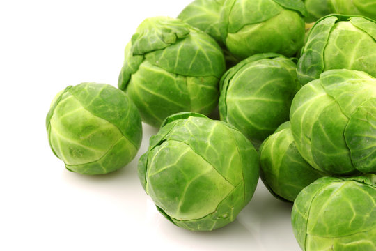 Freshly harvested Brussel sprouts  on a white background