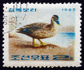 Postage stamp North Korea 1965 Spot-billed Duck, Bird