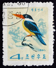 Postage stamp North Korea 1965 Black-caped Kingfisher, Bird