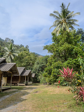 Thai countryside hut with the garden