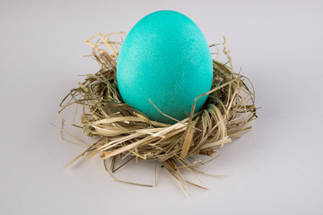 blue  green easter egg in nest isolated on white