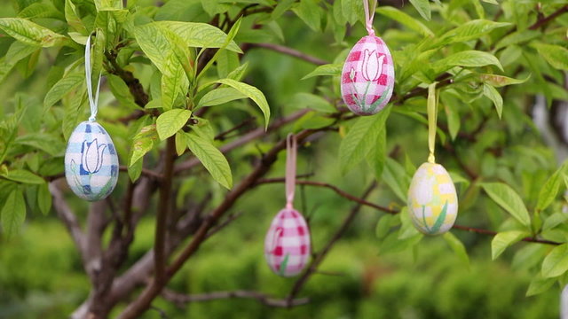 Tree decorated with easter eggs