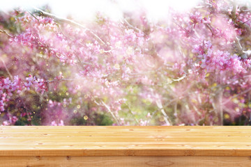 Obraz na płótnie Canvas Image of Spring Cherry blossoms tree. retro filtered image, sele