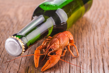 beer and crayfish close-up