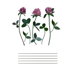Clover flowers notebook