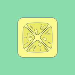 Lemon flat icon isolated on stylish color background