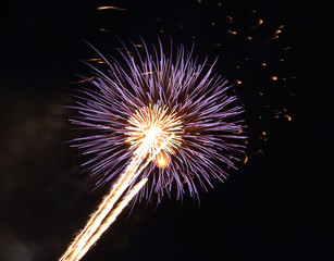 beautiful firework with sky