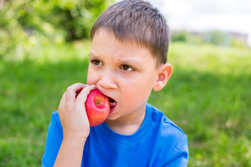 Boy nibbling red apple
