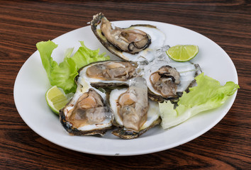 Fresh oyster