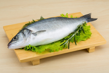 Raw seabass