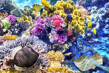 Naklejka premium Underwater world with corals and tropical fish.