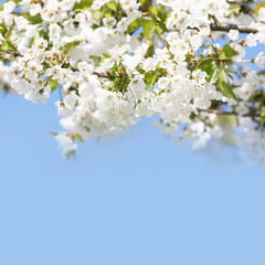 Der Frühling ist da