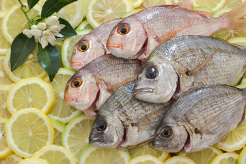 Fresh fish with lemon.