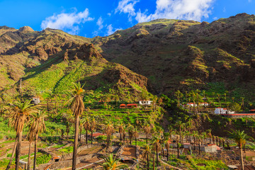 Palm trees in Valle Gran Rey mountain valley, La Gomera island