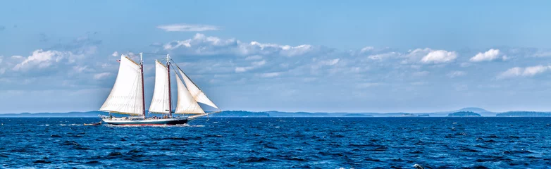 Fotobehang Vintage ship sailing at sea panorama © Crin