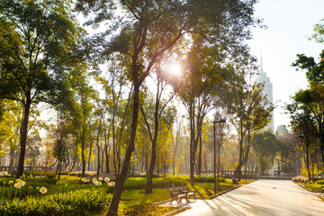 Central Alameda park morning in Mexico city