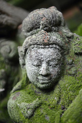 Fototapeta premium ASIA THAILAND CHIANG MAI WAT PHAN TAO