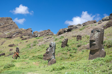 Moai im Rano Raraku Krater (Osterinsel, Rapa Nui)