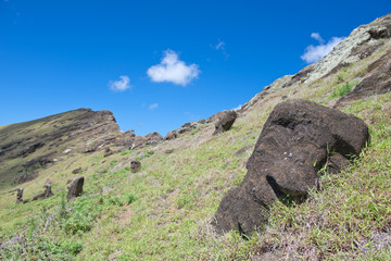 Moai im Rano Raraku Krater (Osterinsel, Rapa Nui)