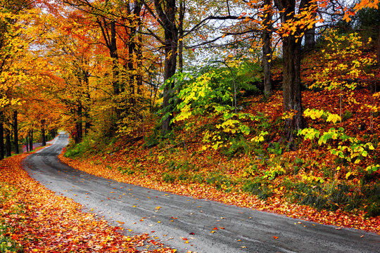Fall In New England Winding Road With Colorful Leaves. Vermont