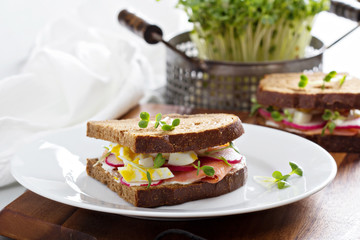 Sandwich with smoked salmon, radishes and egg