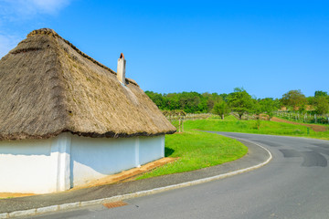 House with thatched roof along a rural road, Burgenland, Austria