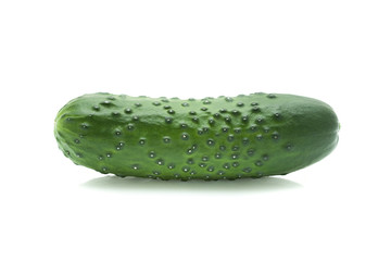 Cucumber