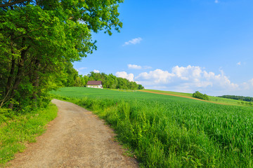 Fototapeta na wymiar Countryside road in green fields, Burgenland, Austria