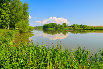 Lake in countryside landscape in spring, Burgenland, Austria