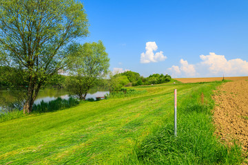 Obraz premium Green countryside landscape in spring, Burgenland, Austria