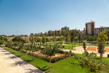 Fototapeta premium Turia gardens in Valencia