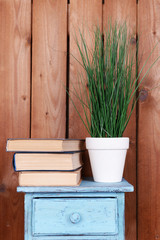 Interior design with plant and stack of books