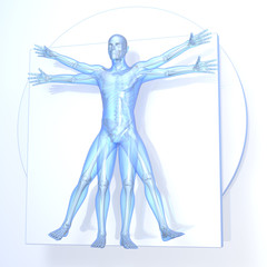 Da Vinci Vitruvian Man, transparent