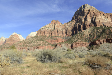 Fototapeta premium Red rock canyon landscape, Zion National Park, Utah