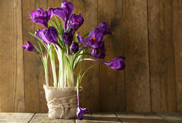 Crocus flowers in wrapped pot on wooden background