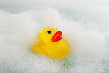 Rubber duck in foam close-up