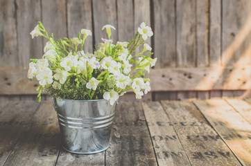 Vintage style White flowers stainless pot on wooden background,