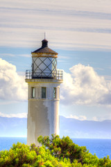 Point Vicente Lighthouse in Vertical