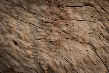 Driftwood textured