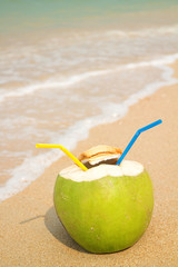 Coconut on the beach in the summer