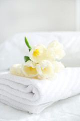 Fototapeta na wymiar White beautiful tulips on fresh towels in hotel, close up