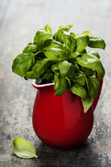 Fresh basil