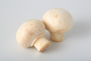 マッシュルーム