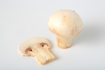 マッシュルーム