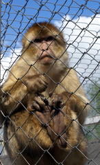 SONY DSC © Krzysztof Gebarowski